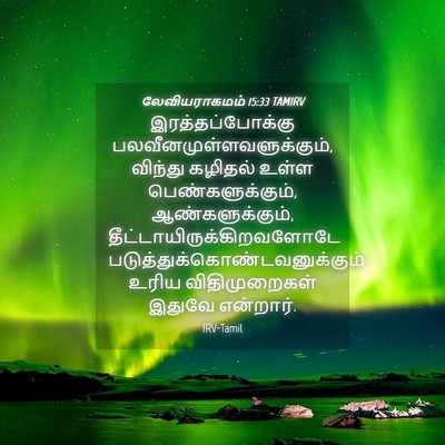 Picture 04 - லேவியராகமம் 15:33 TAMIRV - இரத்தப்போக்கு - Bible Verse Picture