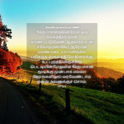 Picture 04 - லேவியராகமம் 16:2 TAMIRV -  - Bible Verse Picture