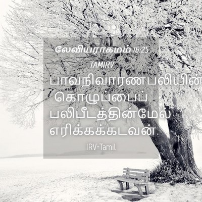Picture 04 - லேவியராகமம் 16:25 TAMIRV - பாவநிவாரணபலியின் - Bible Verse Picture
