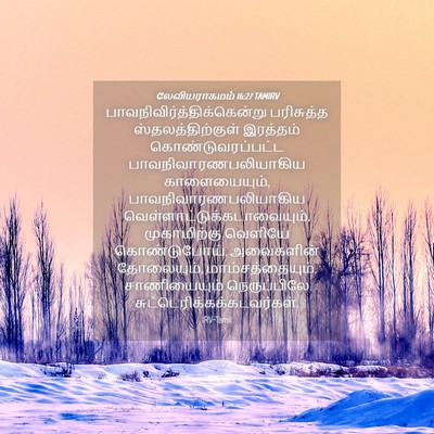 Picture 04 - லேவியராகமம் 16:27 TAMIRV -  - Bible Verse Picture