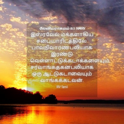 Picture 04 - லேவியராகமம் 16:5 TAMIRV - இஸ்ரவேல் - Bible Verse Picture