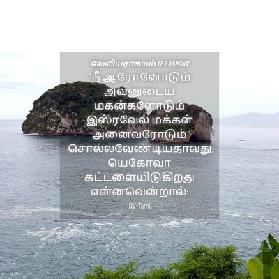 Picture 04 - லேவியராகமம் 17:2 TAMIRV - “நீ ஆரோனோடும் - Bible Verse Picture