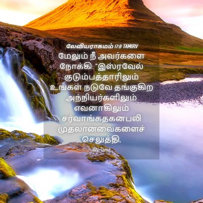 Picture 04 - லேவியராகமம் 17:8 TAMIRV - மேலும் நீ அவர்களை - Bible Verse Picture