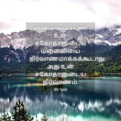 Picture 04 - லேவியராகமம் 18:16 TAMIRV - உன் சகோதரனுடைய - Bible Verse Picture