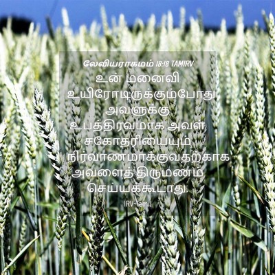 Picture 04 - லேவியராகமம் 18:18 TAMIRV - உன் மனைவி - Bible Verse Picture