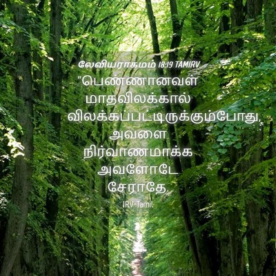 Picture 04 - லேவியராகமம் 18:19 TAMIRV - “பெண்ணானவள் - Bible Verse Picture