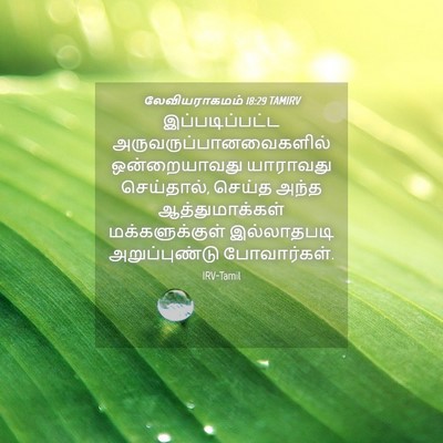 Picture 04 - லேவியராகமம் 18:29 TAMIRV - இப்படிப்பட்ட - Bible Verse Picture