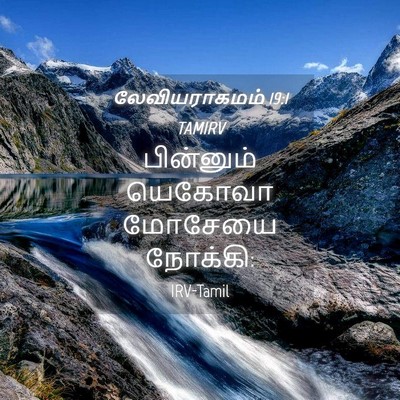 Picture 04 - லேவியராகமம் 19:1 TAMIRV - பின்னும் யெகோவா - Bible Verse Picture