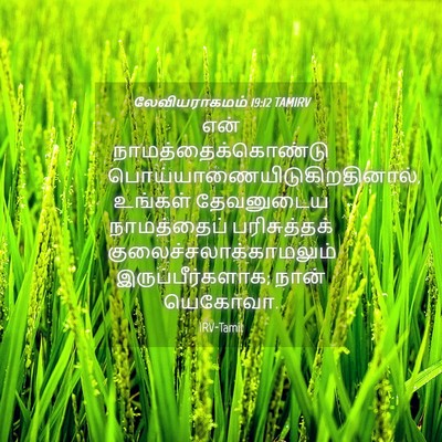 Picture 04 - லேவியராகமம் 19:12 TAMIRV - என் - Bible Verse Picture