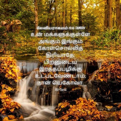 Picture 04 - லேவியராகமம் 19:16 TAMIRV - உன் - Bible Verse Picture