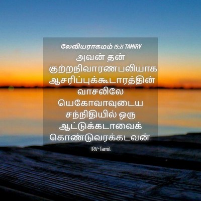 Picture 04 - லேவியராகமம் 19:21 TAMIRV - அவன் தன் - Bible Verse Picture