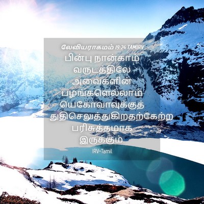 Picture 04 - லேவியராகமம் 19:24 TAMIRV - பின்பு நான்காம் - Bible Verse Picture