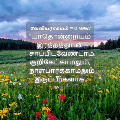 Picture 04 - லேவியராகமம் 19:26 TAMIRV - “யாதொன்றையும் - Bible Verse Picture
