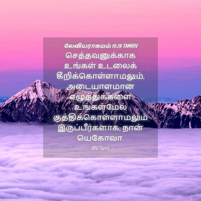 Picture 04 - லேவியராகமம் 19:28 TAMIRV - செத்தவனுக்காக - Bible Verse Picture