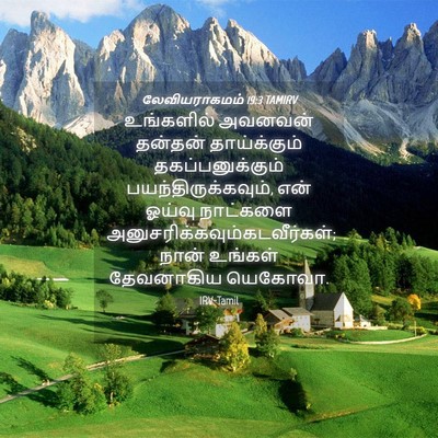 Picture 04 - லேவியராகமம் 19:3 TAMIRV - உங்களில் அவனவன் - Bible Verse Picture