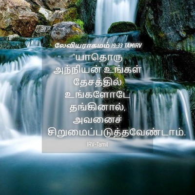 Picture 04 - லேவியராகமம் 19:33 TAMIRV - “யாதொரு அந்நியன் - Bible Verse Picture