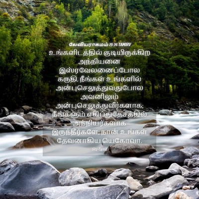 Picture 04 - லேவியராகமம் 19:34 TAMIRV - உங்களிடத்தில் - Bible Verse Picture