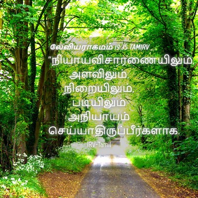 Picture 04 - லேவியராகமம் 19:35 TAMIRV -  - Bible Verse Picture