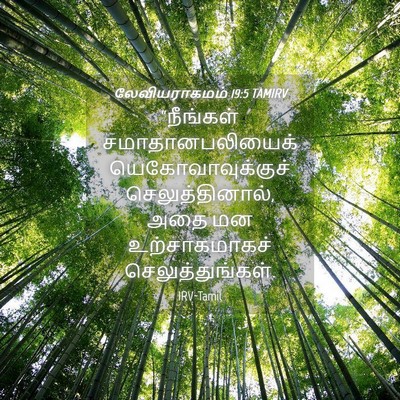Picture 04 - லேவியராகமம் 19:5 TAMIRV - “நீங்கள் - Bible Verse Picture