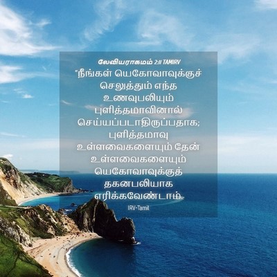 Picture 04 - லேவியராகமம் 2:11 TAMIRV - “நீங்கள் - Bible Verse Picture