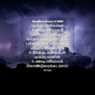 Picture 04 - லேவியராகமம் 2:14 TAMIRV - “முதற்பலன்களை - Bible Verse Picture