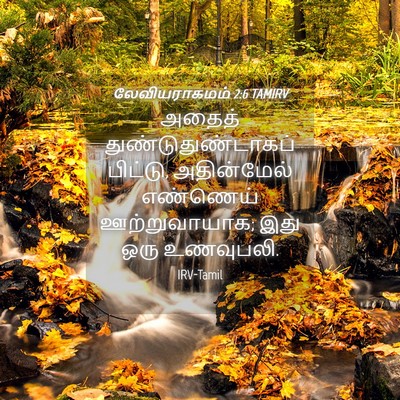 Picture 04 - லேவியராகமம் 2:6 TAMIRV - அதைத் - Bible Verse Picture