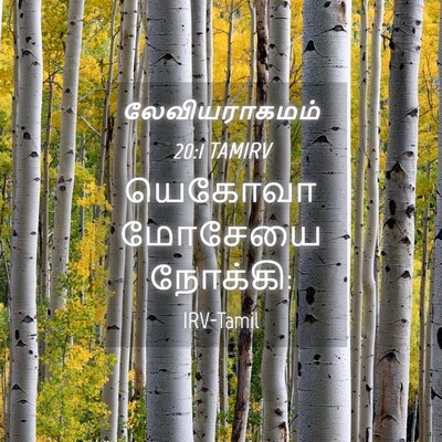 Picture 04 - லேவியராகமம் 20:1 TAMIRV - யெகோவா மோசேயை - Bible Verse Picture