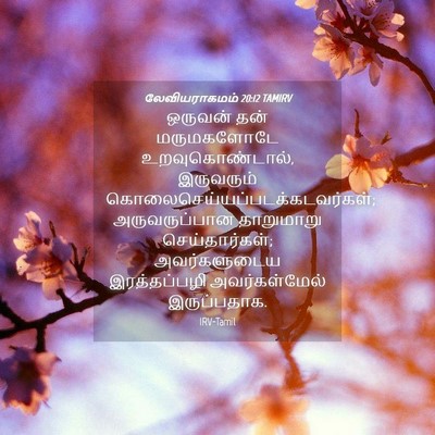 Picture 04 - லேவியராகமம் 20:12 TAMIRV - ஒருவன் தன் - Bible Verse Picture
