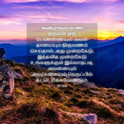 Picture 04 - லேவியராகமம் 20:14 TAMIRV - ஒருவன் ஒரு - Bible Verse Picture