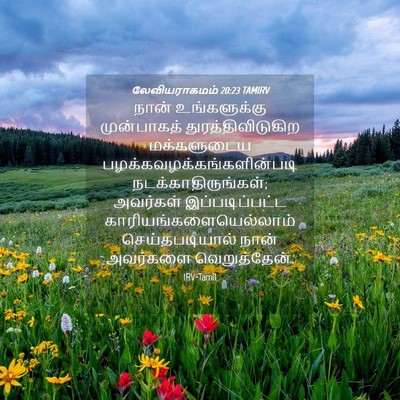 Picture 04 - லேவியராகமம் 20:23 TAMIRV - நான் உங்களுக்கு - Bible Verse Picture