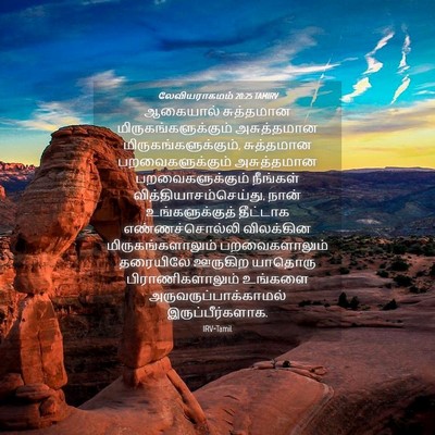 Picture 04 - லேவியராகமம் 20:25 TAMIRV - ஆகையால் சுத்தமான - Bible Verse Picture