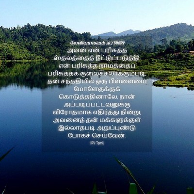 Picture 04 - லேவியராகமம் 20:3 TAMIRV - அவன் என் பரிசுத்த - Bible Verse Picture