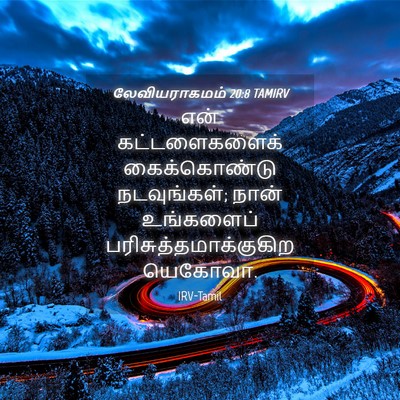 Picture 04 - லேவியராகமம் 20:8 TAMIRV - என் கட்டளைகளைக் - Bible Verse Picture