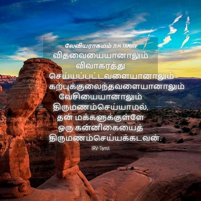 Picture 04 - லேவியராகமம் 21:14 TAMIRV - விதவையையானாலும் - Bible Verse Picture