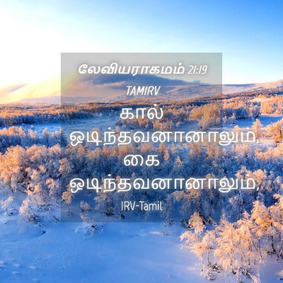 Picture 04 - லேவியராகமம் 21:19 TAMIRV - கால் - Bible Verse Picture