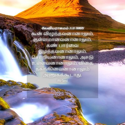Picture 04 - லேவியராகமம் 21:20 TAMIRV - கூன் - Bible Verse Picture