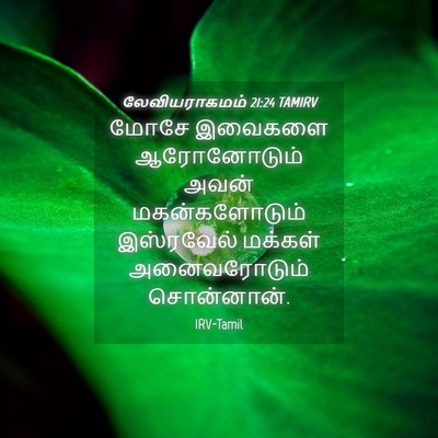 Picture 04 - லேவியராகமம் 21:24 TAMIRV - மோசே இவைகளை - Bible Verse Picture