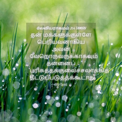 Picture 04 - லேவியராகமம் 21:4 TAMIRV - தன் - Bible Verse Picture