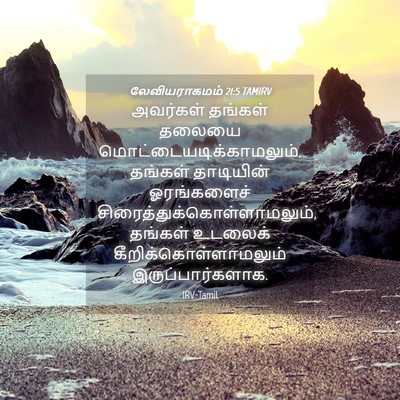 Picture 04 - லேவியராகமம் 21:5 TAMIRV - அவர்கள் தங்கள் - Bible Verse Picture