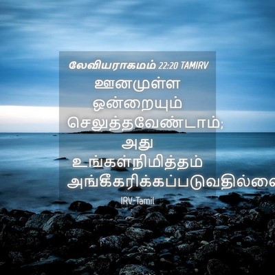 Picture 04 - லேவியராகமம் 22:20 TAMIRV - ஊனமுள்ள ஒன்றையும் - Bible Verse Picture