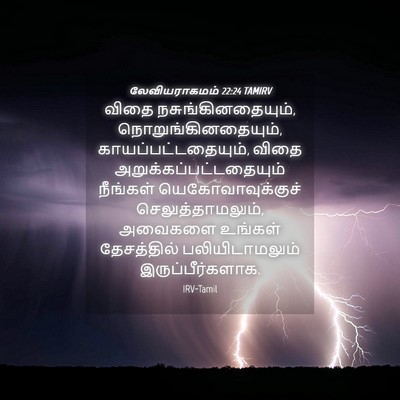 Picture 04 - லேவியராகமம் 22:24 TAMIRV - விதை - Bible Verse Picture
