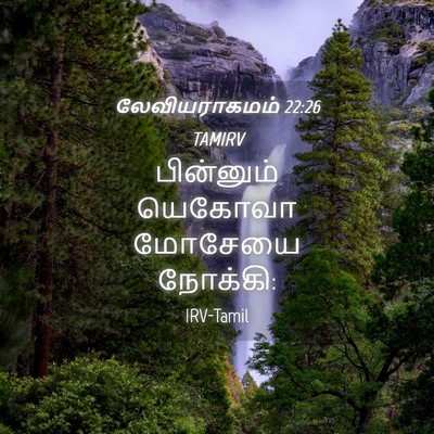Picture 04 - லேவியராகமம் 22:26 TAMIRV - பின்னும் யெகோவா - Bible Verse Picture
