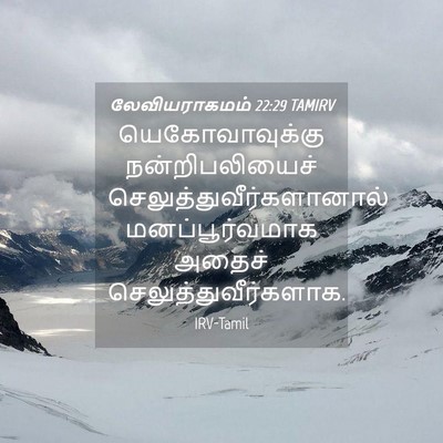 Picture 04 - லேவியராகமம் 22:29 TAMIRV - யெகோவாவுக்கு - Bible Verse Picture