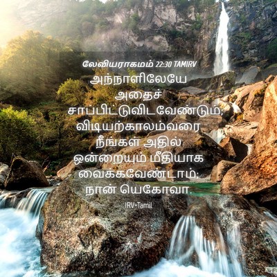 Picture 04 - லேவியராகமம் 22:30 TAMIRV - அந்நாளிலேயே அதைச் - Bible Verse Picture