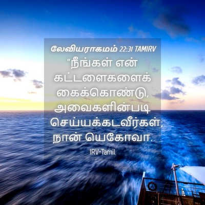 Picture 04 - லேவியராகமம் 22:31 TAMIRV - “நீங்கள் என் - Bible Verse Picture