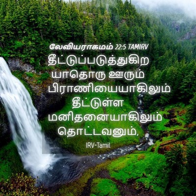 Picture 04 - லேவியராகமம் 22:5 TAMIRV -  - Bible Verse Picture