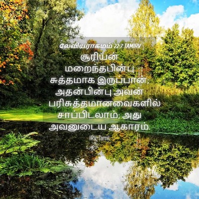 Picture 04 - லேவியராகமம் 22:7 TAMIRV - சூரியன் - Bible Verse Picture