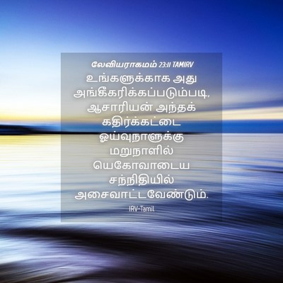 Picture 04 - லேவியராகமம் 23:11 TAMIRV - உங்களுக்காக அது - Bible Verse Picture