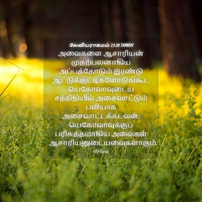 Picture 04 - லேவியராகமம் 23:20 TAMIRV - அவைகளை ஆசாரியன் - Bible Verse Picture