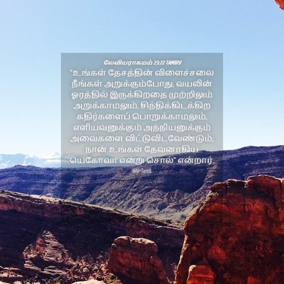 Picture 04 - லேவியராகமம் 23:22 TAMIRV - “உங்கள் தேசத்தின் - Bible Verse Picture